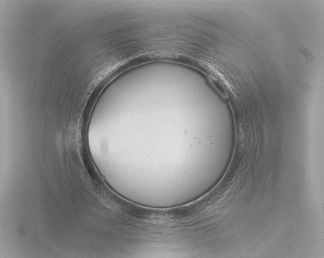 X0000116390487200912231112