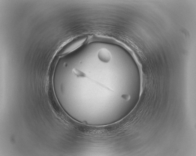 X0000116390488200912231112