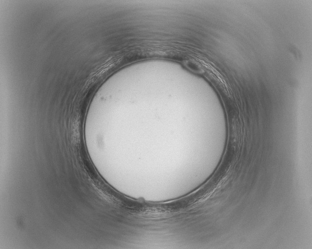 X0000116390489200912231112