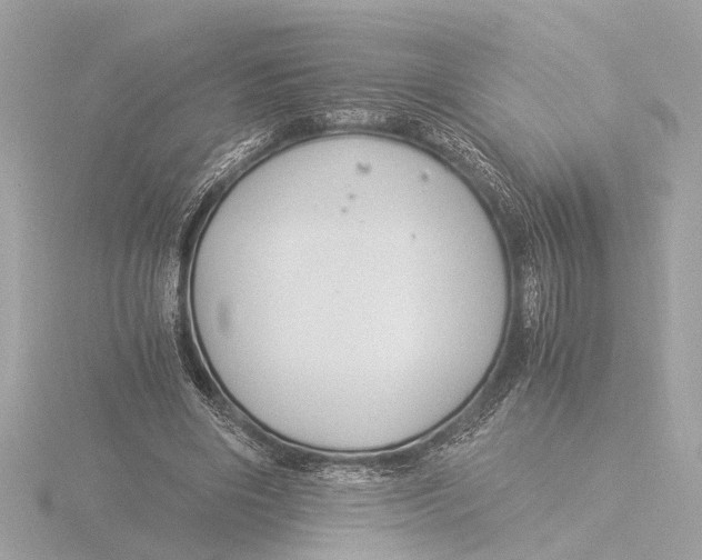 X0000116390490200912231112