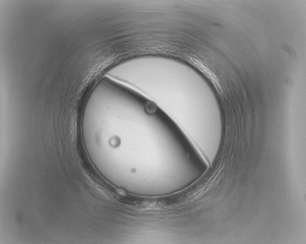 X0000116390493200912231112