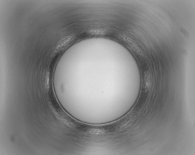 X0000116390494200912231112