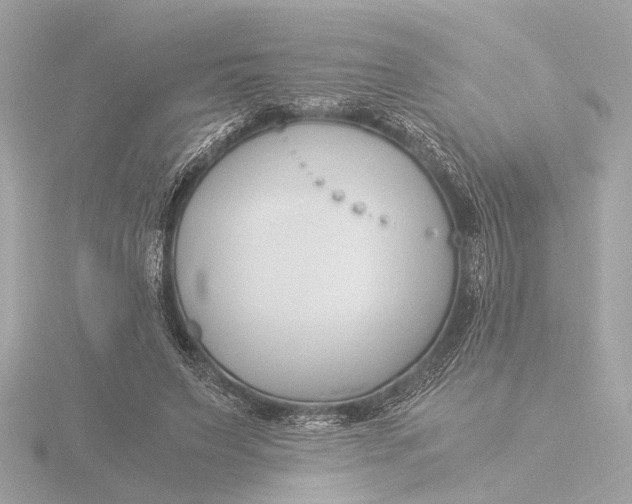 X0000116390495200912231112