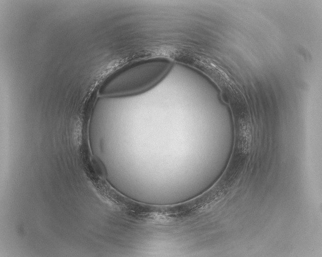 X0000116390496200912231112