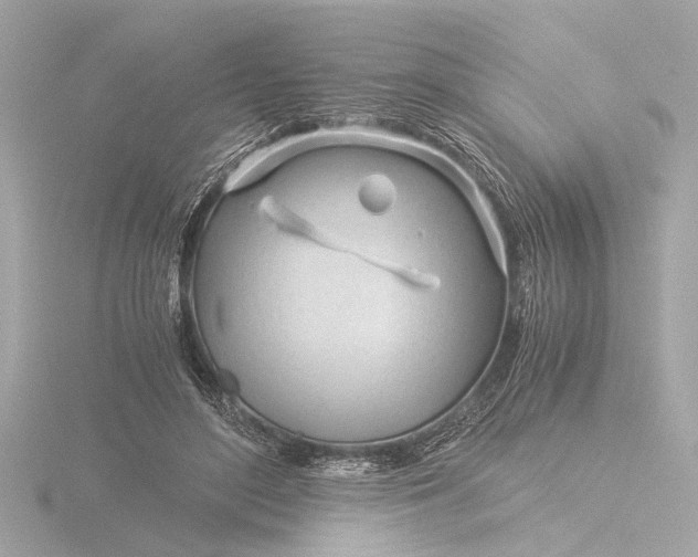 X0000116390500200912231112