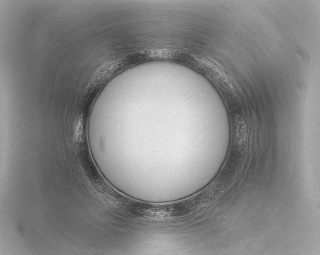 X0000116390502200912231112