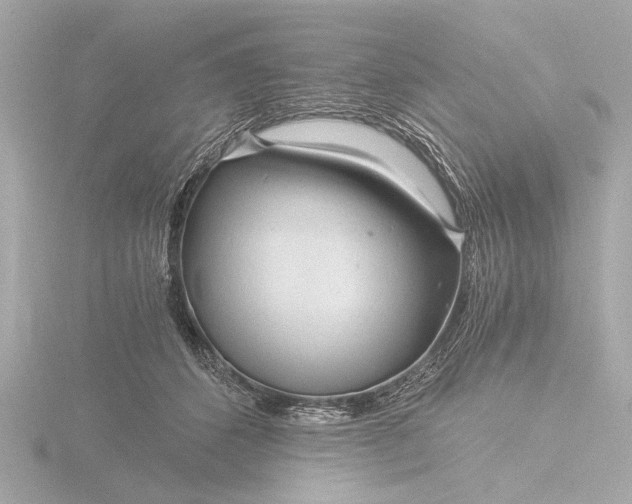 X0000116390512200912231112