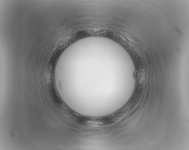 X0000116390515200912231112