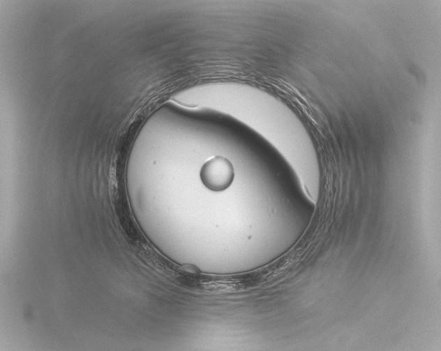 X0000116390516200912231112