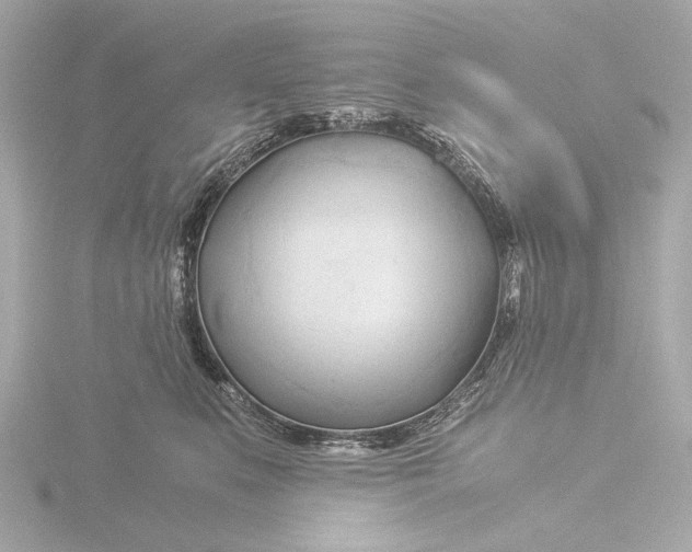 X0000116390519200912231112