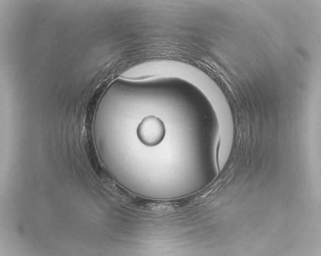 X0000116390520200912231112