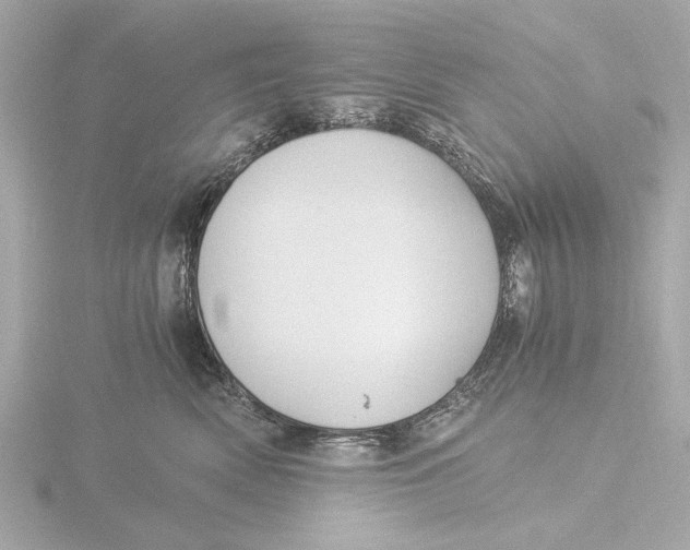 X0000116390522200912231112