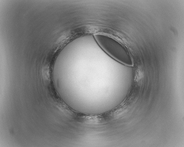 X0000116390524200912231112