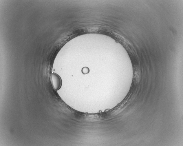 X0000116390525200912231112