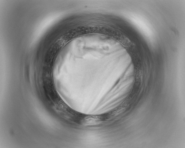 X0000116390526200912231112