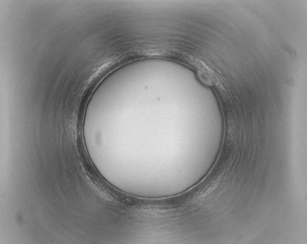 X0000116390530200912231111