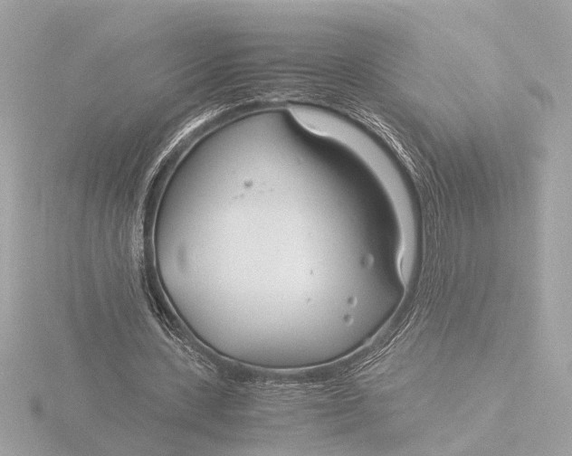 X0000116390531200912231111