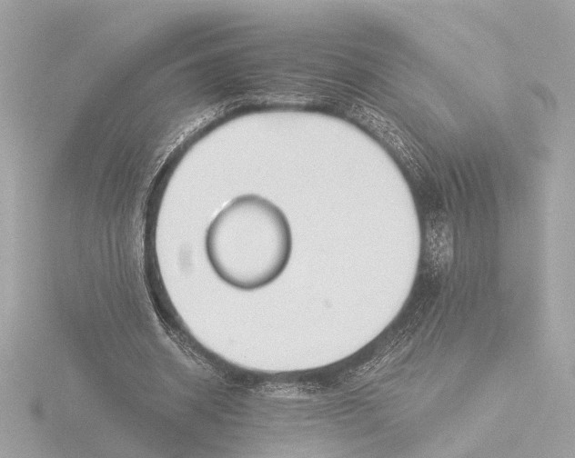 X0000116390534200912231111