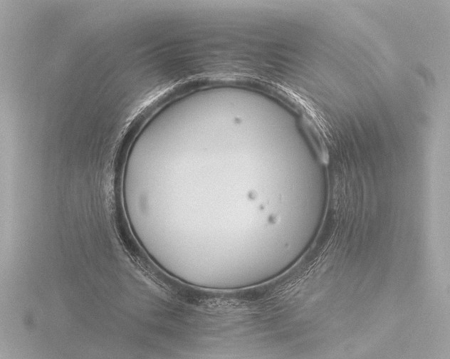 X0000116390535200912231111