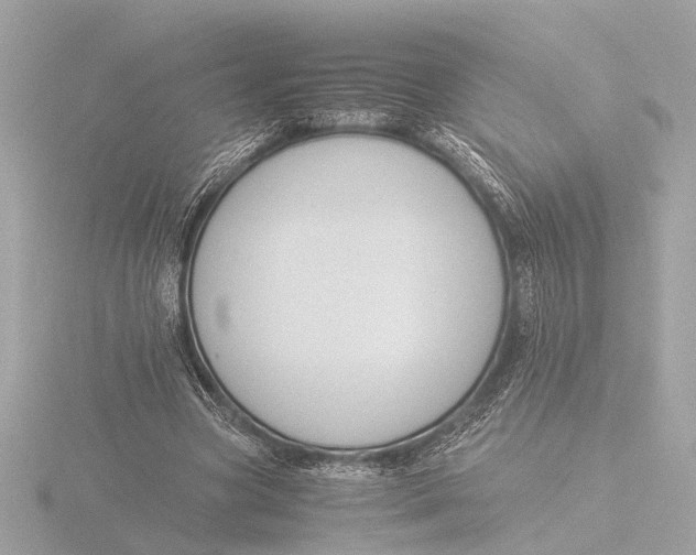 X0000116390537200912231111