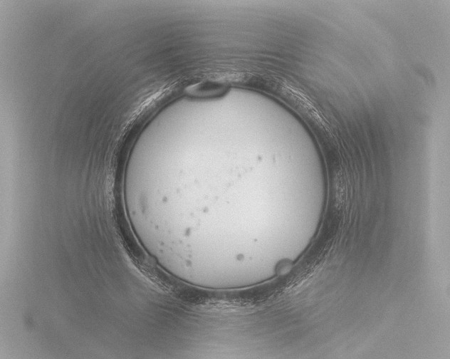 X0000116390538200912231111