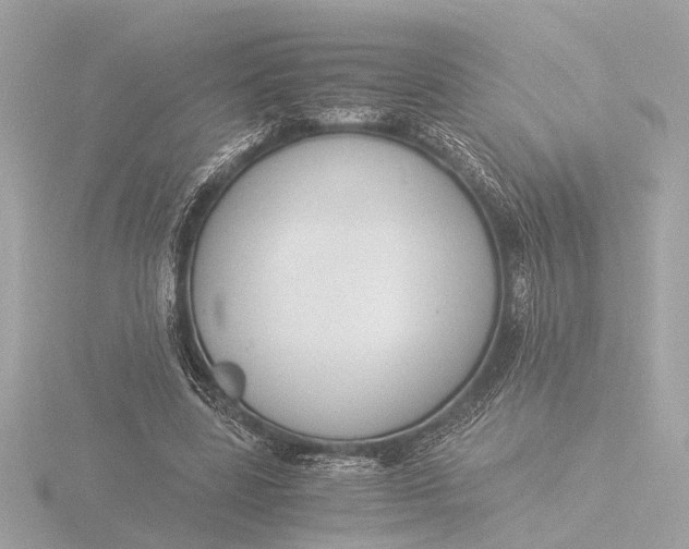 X0000116390539200912231111