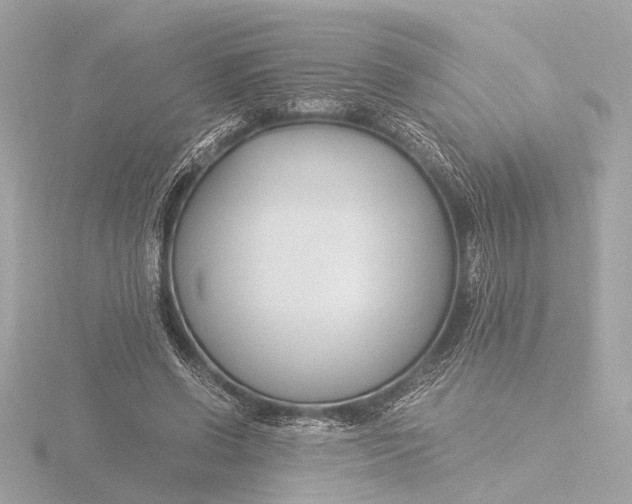 X0000116390542200912231111