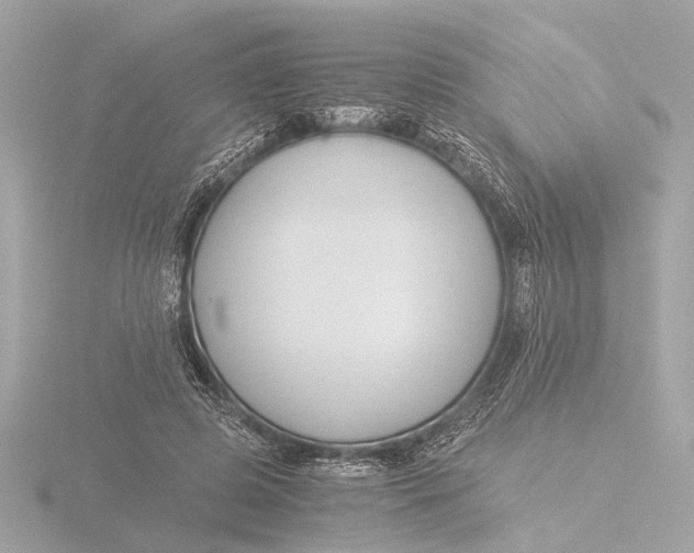 X0000116390545200912231111