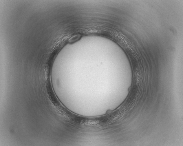 X0000116390546200912231111