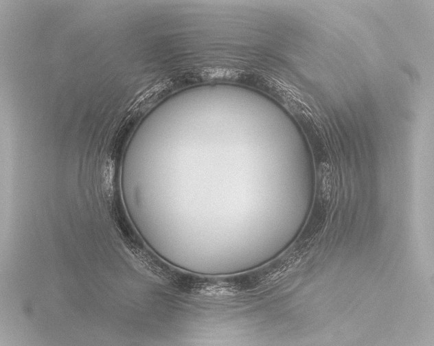 X0000116390550200912231111