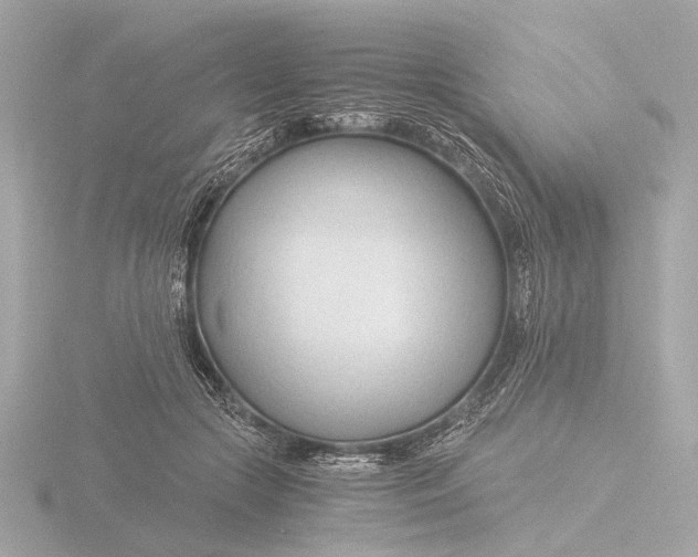 X0000116390553200912231111