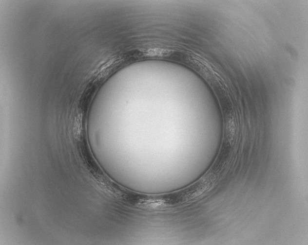 X0000116390554200912231111