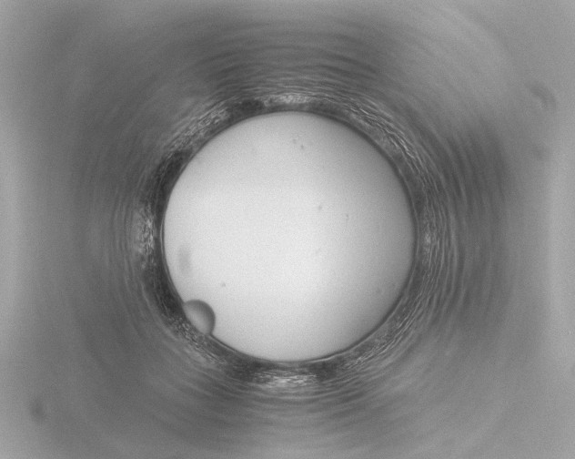 X0000116390555200912231111