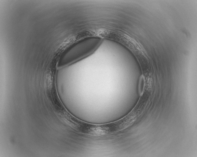 X0000116390558200912231111