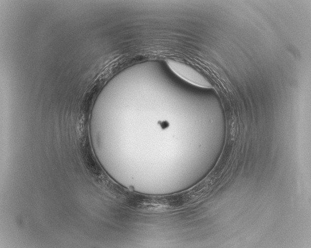 X0000116390559200912231111