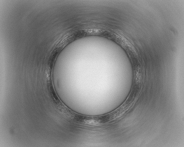 X0000116390561200912231111