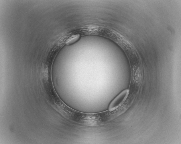 X0000116390562200912231111