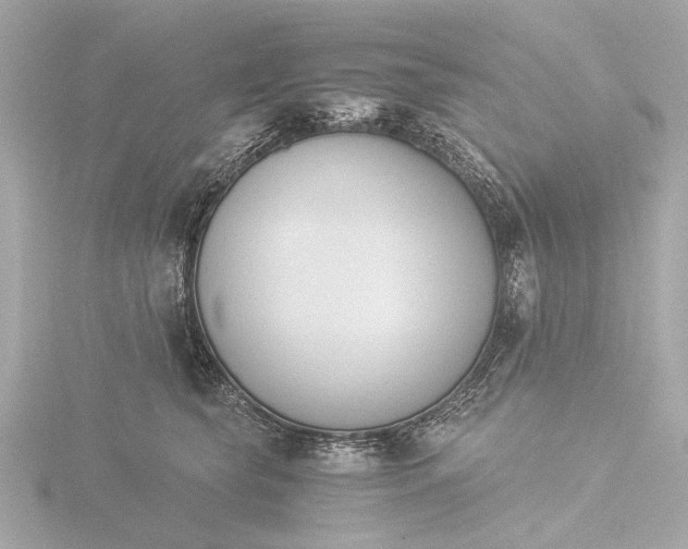 X0000116390565200912231111