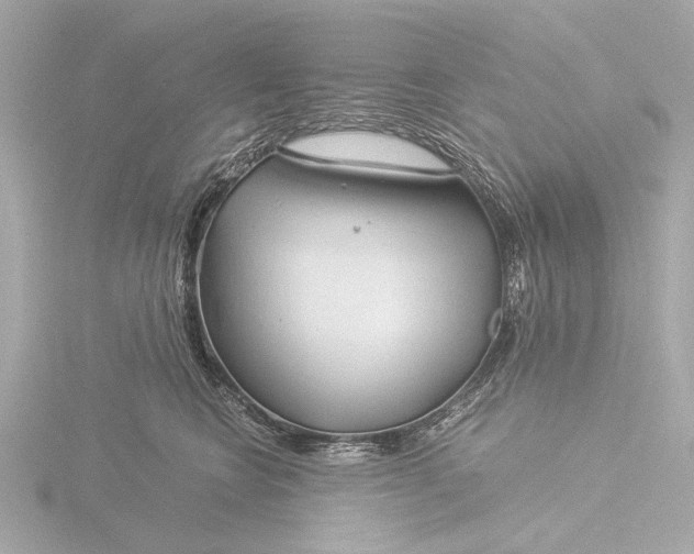 X0000116390566200912231111