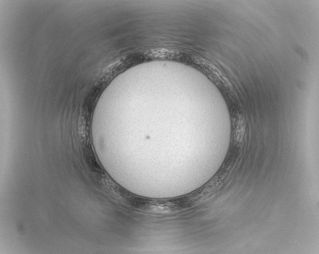 X0000116390569200912231111