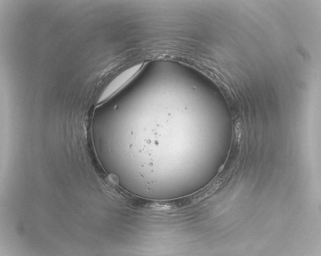 X0000116390570200912231111