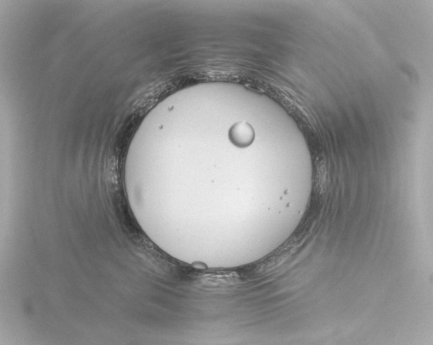 X0000116390571200912231111