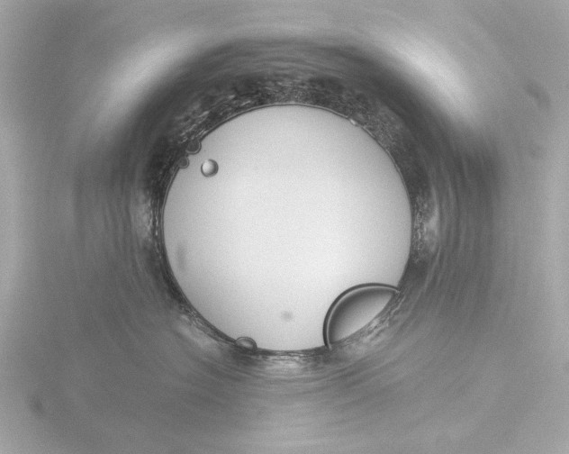 X0000116390574200912231111