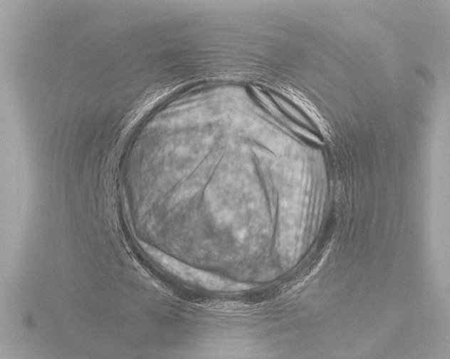 X0000116390577200912231111