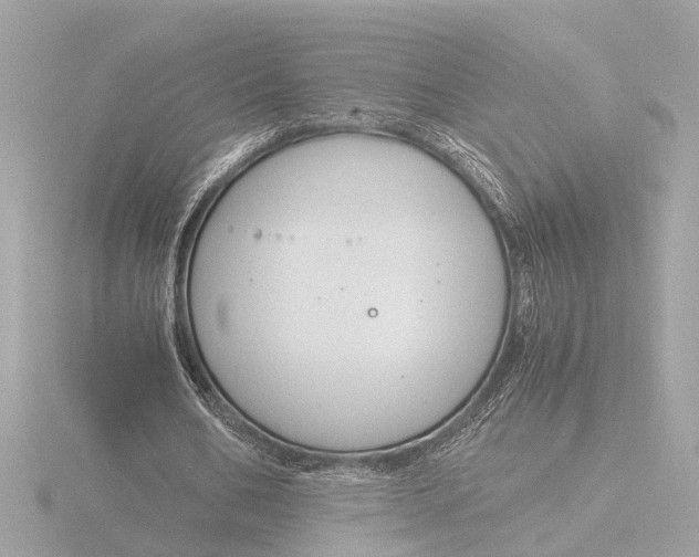 X0000116390578200912231111