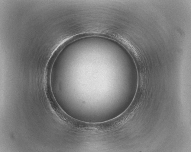 X0000116390580200912231111