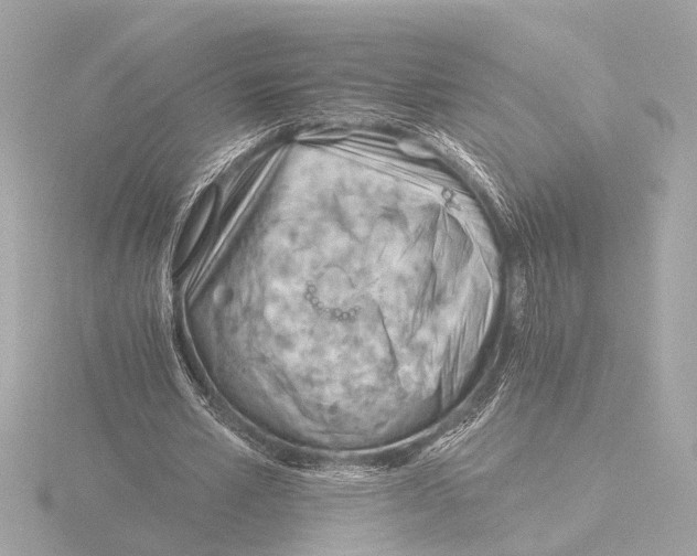 X0000116390581200912231111