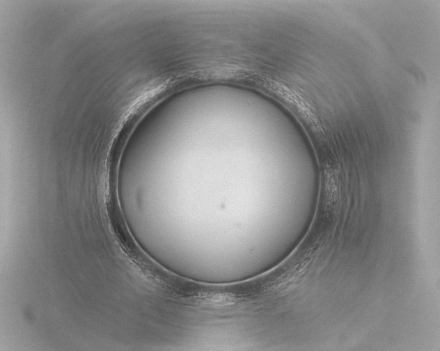 X0000116390582200912231111