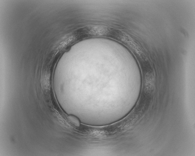 X0000116390585200912231111