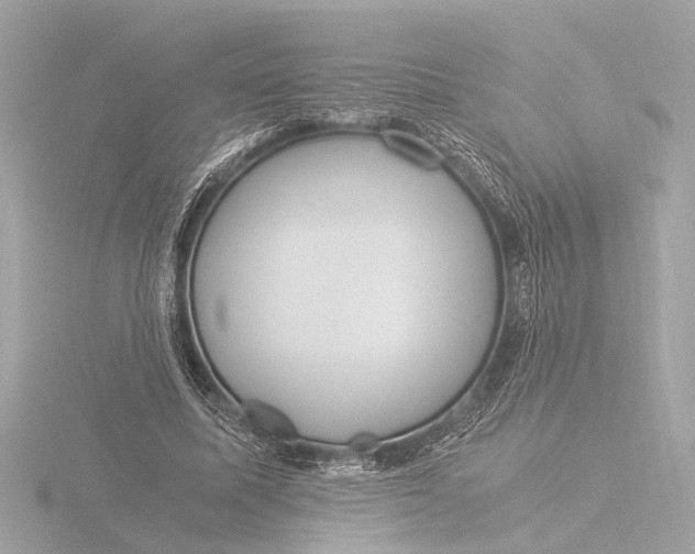 X0000116390587200912231111